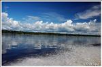 Guyana - Essequibo river